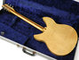 Rickenbacker 340/6 , Mapleglo: Full Instrument - Rear