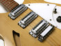 Rickenbacker 340/6 , Mapleglo: Close up - Free2