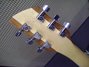 Rickenbacker 650/6 Dakota, Natural Walnut: Headstock - Rear