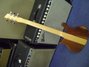 Rickenbacker 650/6 Dakota, Natural Walnut: Full Instrument - Rear