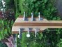 Rickenbacker 330/6 , Mapleglo: Headstock - Rear