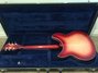 Rickenbacker 370/6 WB, Fireglo: Full Instrument - Rear