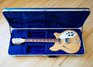Rickenbacker 360/12 , Mapleglo: Free image