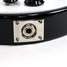 Rickenbacker 350/6 V63, Jetglo: Close up - Free