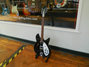 Rickenbacker 330/12 , Jetglo: Full Instrument - Front