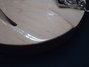 Rickenbacker 330/6 , Mapleglo: Free image