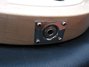 Rickenbacker 330/6 , Mapleglo: Close up - Free