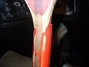 Rickenbacker 330/6 Mod, Fireglo: Close up - Free2