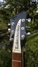 Rickenbacker 330/6 , Jetglo: Headstock