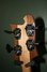 Rickenbacker 4003/4 , Mapleglo: Headstock - Rear