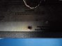 Rickenbacker TR7/amp , Black: Close up - Free2