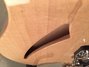 Rickenbacker 330/6 , Mapleglo: Free image