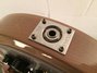Rickenbacker 330/6 , Mapleglo: Close up - Free