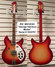 Rickenbacker 360/12 C63, Fireglo: Full Instrument - Front