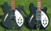 Rickenbacker 360/6 , Grayglo: Free image