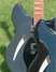 Rickenbacker 360/6 , Grayglo: Free image2