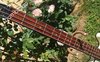 Rickenbacker 2050/4 El Dorado, White: Neck - Front