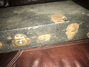 Rickenbacker A22/6 LapSteel, Silver: Close up - Free