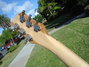Rickenbacker 660/6 , Mapleglo: Headstock - Rear