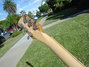 Rickenbacker 660/6 , Mapleglo: Neck - Rear