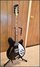 Rickenbacker 360/6 VP, Jetglo: Free image2