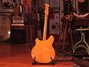 Rickenbacker 360/12 BH BT, Mapleglo: Full Instrument - Rear