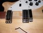 Rickenbacker 360/12 , Mapleglo: Close up - Free