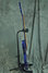 Rickenbacker 330/6 , Midnightblue: Free image