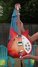 Rickenbacker 330/12 , Fireglo: Full Instrument - Front