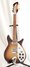Rickenbacker 310/6 C64, MonteBrown: Full Instrument - Front