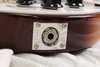 Rickenbacker 310/6 C64, MonteBrown: Close up - Free