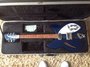 Rickenbacker 330/6 , Midnightblue: Full Instrument - Front