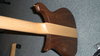 Rickenbacker 650/6 Sierra, Natural Walnut: Body - Rear