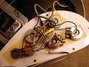 Rickenbacker 4001/4 , Jetglo: Free image