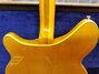 Rickenbacker 360/6 Mod, Mapleglo: Full Instrument - Rear