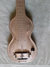 Rickenbacker NS 100/6 LapSteel, Silver: Body - Front