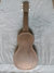 Rickenbacker NS 100/6 LapSteel, Silver: Full Instrument - Rear
