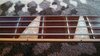 Rickenbacker 4001/4 Mod, Jetglo: Neck - Front