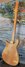 Rickenbacker 450/12 Setneck, Natural: Full Instrument - Rear