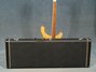 Rickenbacker 480/6 , Mapleglo: Free image2