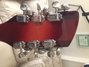 Rickenbacker 660/12 TP, Fireglo: Headstock - Rear