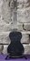 Rickenbacker NS 100/6 LapSteel, Silver: Full Instrument - Rear