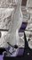 Rickenbacker NS 100/6 LapSteel, Silver: Close up - Free