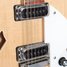 Rickenbacker 360/12 , Mapleglo: Free image