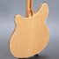 Jun 2006 Rickenbacker 360/12 , Mapleglo: Body - Rear