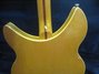 Rickenbacker 370/6 WB, Mapleglo: Full Instrument - Rear