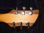 Rickenbacker 650/6 Dakota, Natural Walnut: Headstock - Rear