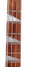 Rickenbacker 4003/4 , Midnightblue: Neck - Front