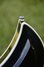 Rickenbacker 381/6 V69, Midnightblue: Free image