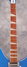 Rickenbacker 1993/12 Plus, Santa Ana Skyglo: Neck - Front